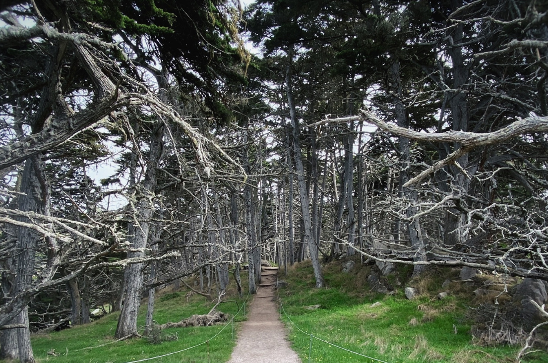 Untitled design – 2021-07-30T150826.419