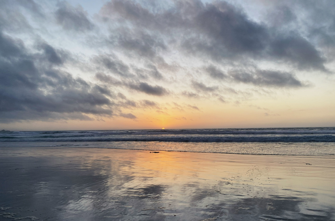 Untitled design – 2021-07-30T151020.145